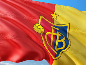 弗赖堡与巴塞尔历史交锋回顾，欧联对决前瞻，弗赖堡对阵莱比锡